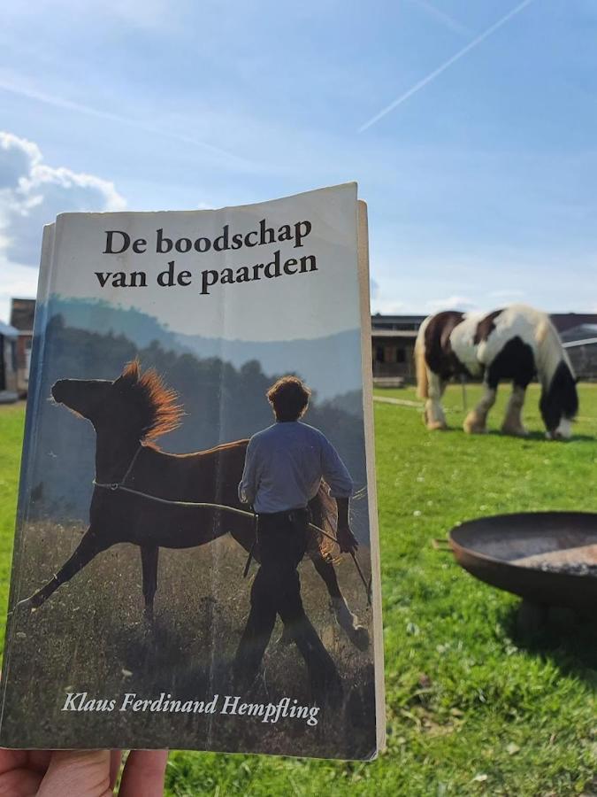 Nieuwerkerken Houten Huisje Tussen Paardenヴィラ エクステリア 写真