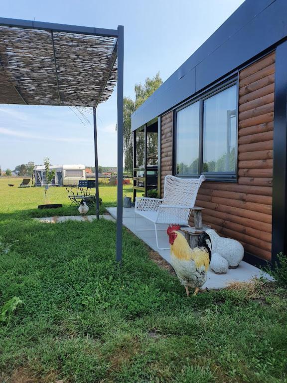 Nieuwerkerken Houten Huisje Tussen Paardenヴィラ エクステリア 写真