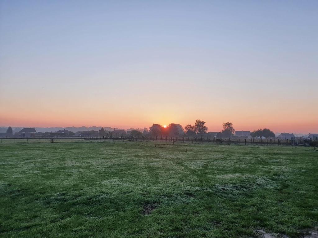 Nieuwerkerken Houten Huisje Tussen Paardenヴィラ エクステリア 写真