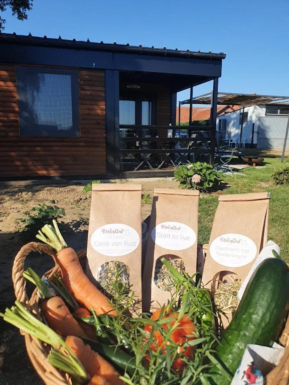 Nieuwerkerken Houten Huisje Tussen Paardenヴィラ エクステリア 写真