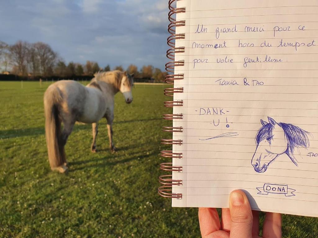 Nieuwerkerken Houten Huisje Tussen Paardenヴィラ エクステリア 写真